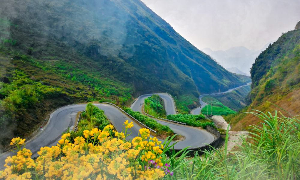 Ha Giang Loop Weather Guide 2026 - Best Time to Visit 1 The unpredictable Ha Giang Loop weather dictates not only the clarity of your mountain views but also your overall safety on the road