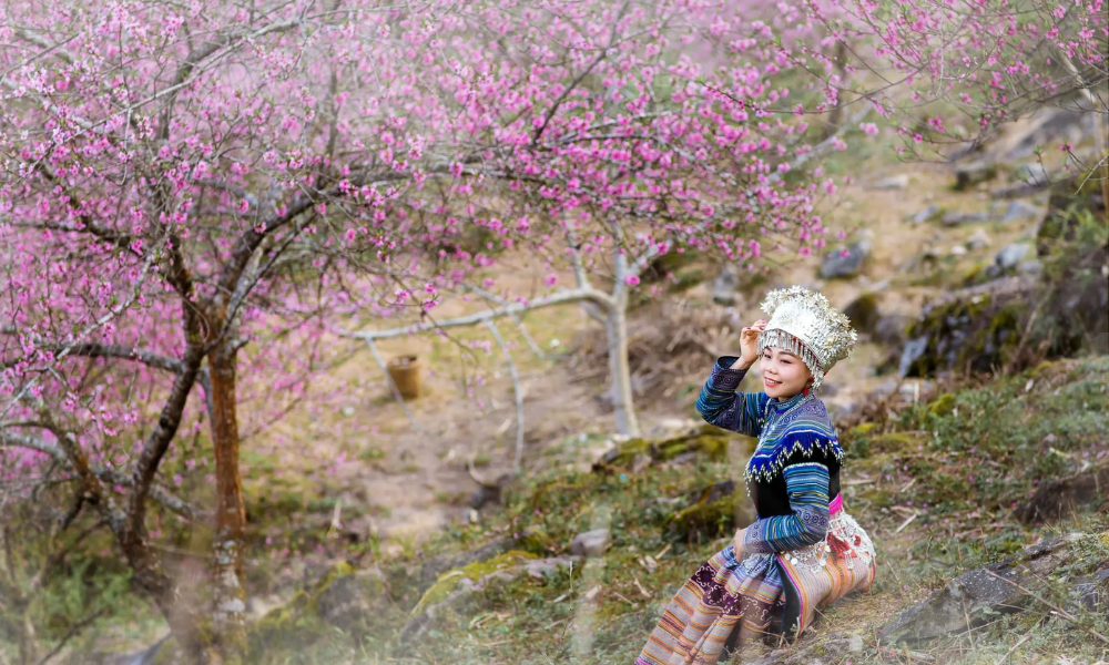 Ha Giang Loop Best Time of Year - Weather, Seasons & Tips 1 When is the Ha Giang Loop Best Time of Year?