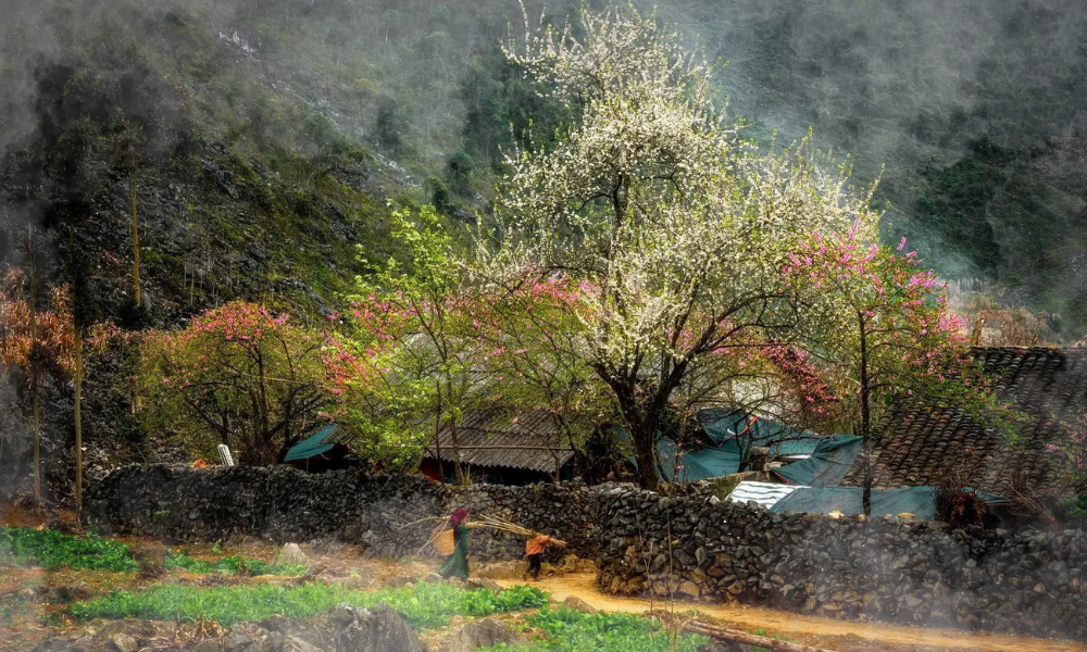 Ha Giang Loop 4 Days - Explore Northern Vietnam at Its Best 2 We have designed this four-day roadmap like a grand symphony, taking your emotions from sudden awe to absolute breathtaking wonder