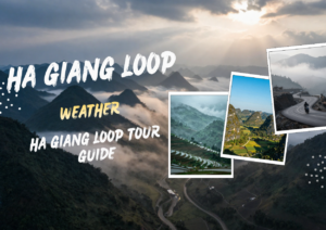 Ha Giang Loop Weather Guide 2026 - Best Time to Visit