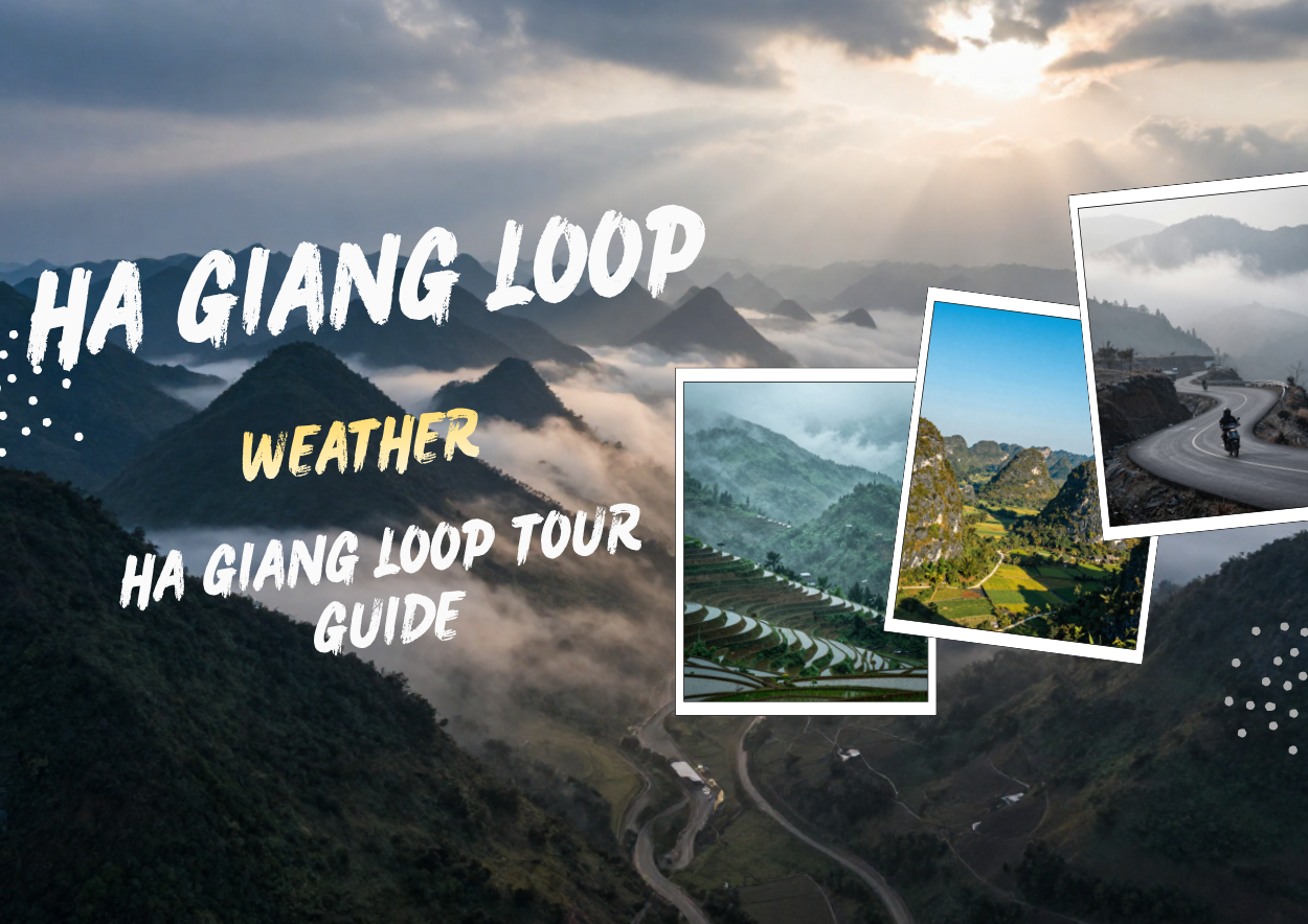 Ha Giang Loop Weather Guide 2026 - Best Time to Visit