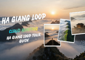 Ha Giang Cloud Hunting - 6 Best Places Above the Clouds