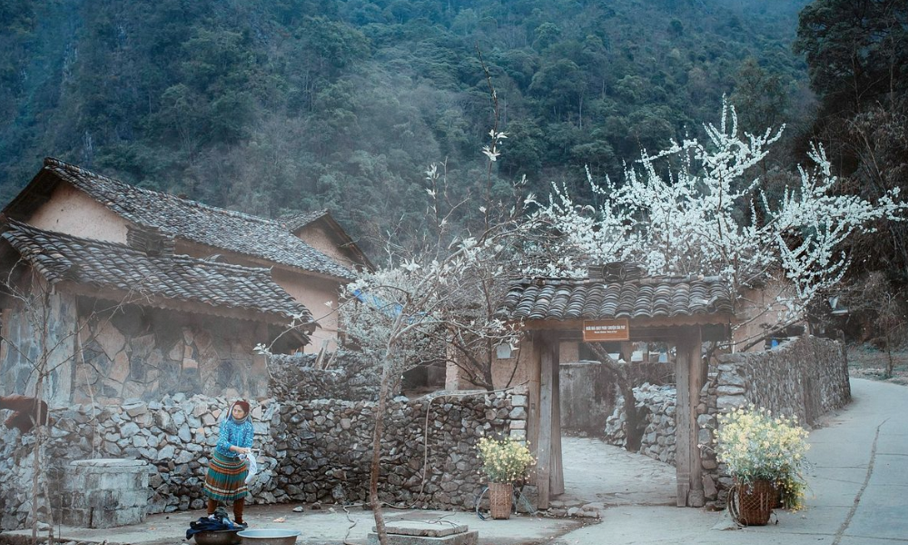 Pao’s House Ha Giang - A Cultural Gem of the Highlands 1 Where is Pao’s House and How to Get There?