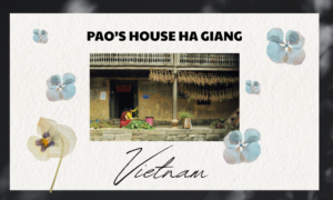 Pao’s House Ha Giang - A Cultural Gem of the Highlands