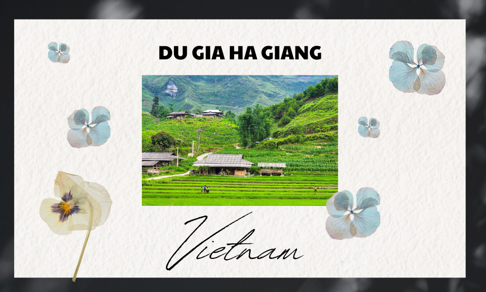 Du Gia Ha Giang - Discover the Fairy-Tale Village of the Loop