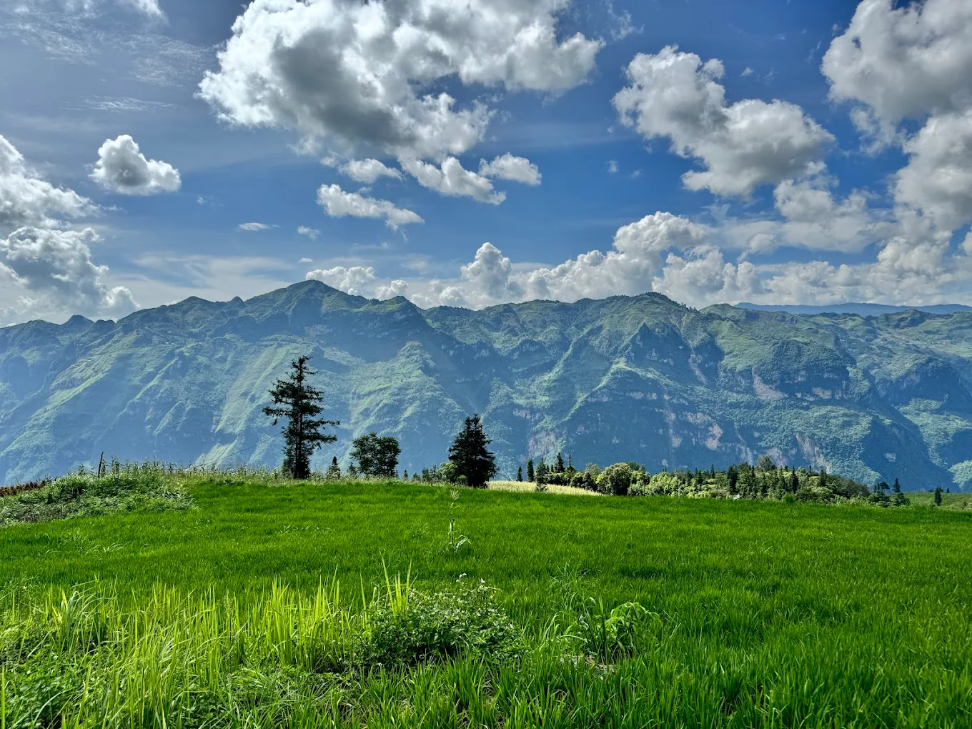 Suoi Thau Steppe – The Enchanting Grassland in the Heart of Ha Giang